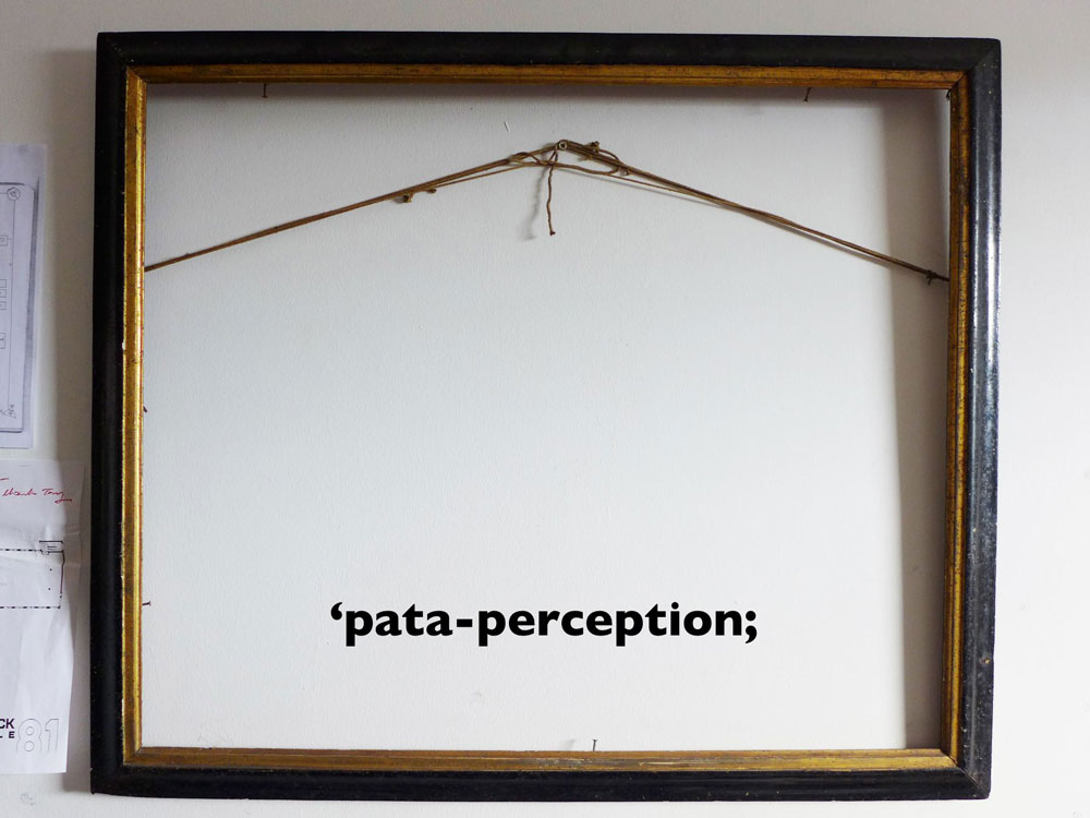 pataperception